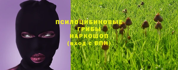 мяу мяу мука Балабаново