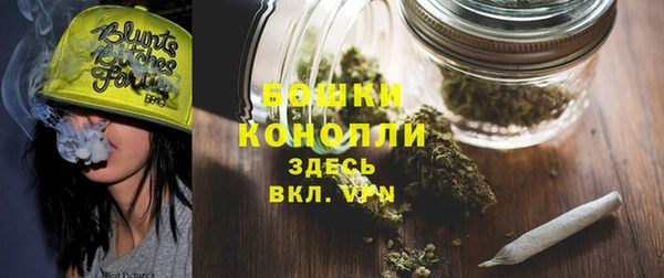 меф Арсеньев