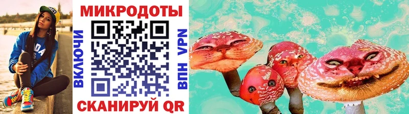 Купить закладки  Невьянск  Галлюциногенные грибы мухоморы 